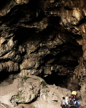 Cave Safaris