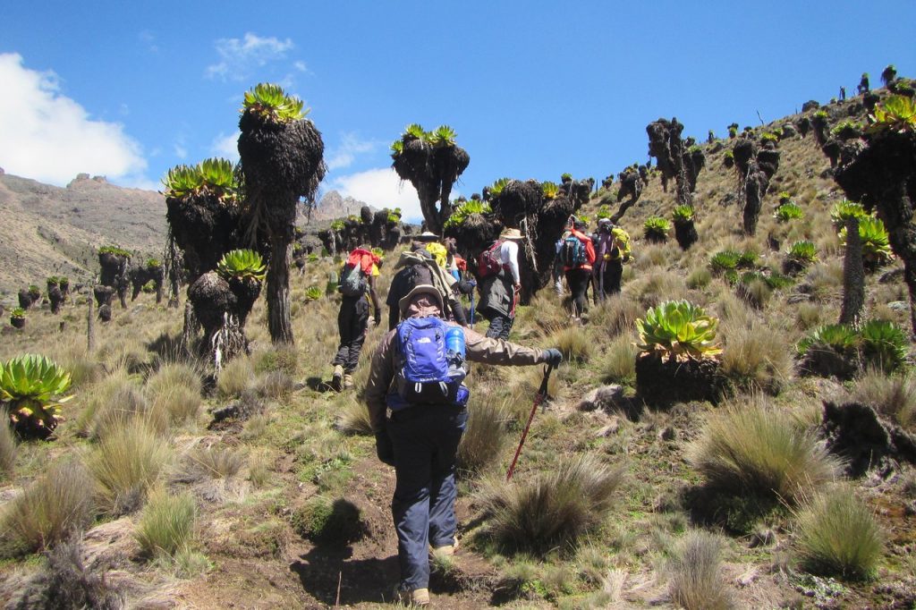 sierra-tours-and-safari-5-days-mount-kenya-trekking-sirimon-route