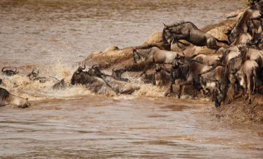 7-DAY KENYA SAFARI