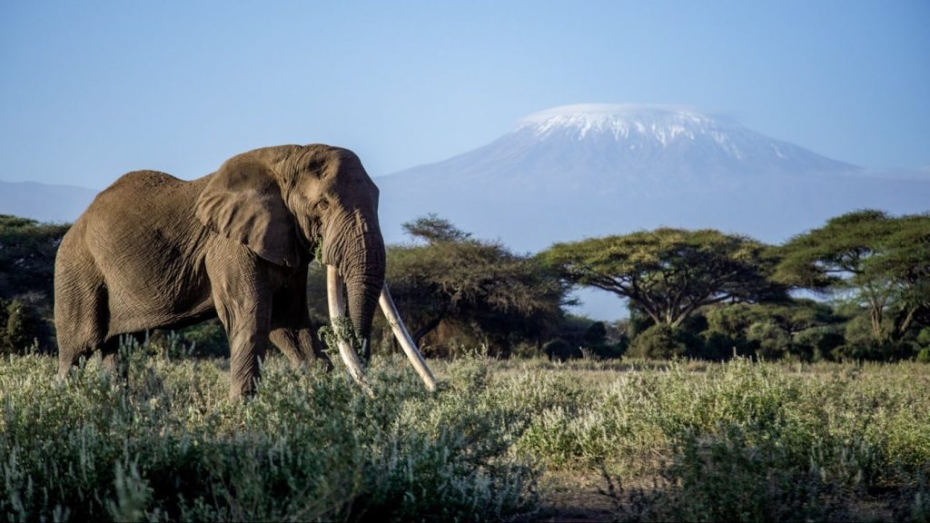 Sierra-tours-and-safaris-7-DAY-KENYA-SAFARI-image-02