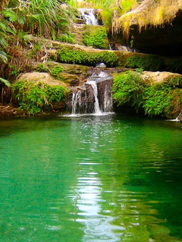 sierra-tours-and-safaris-madagascar-safaris- image01