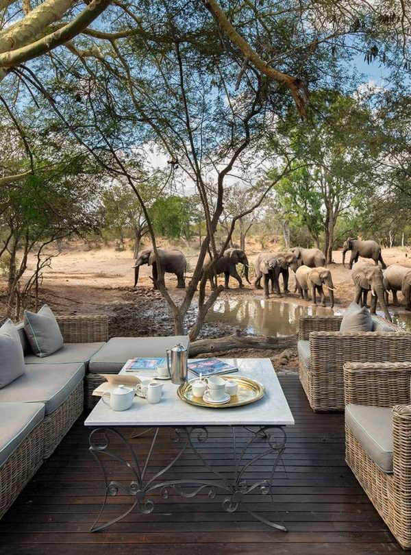sierra-tours-and-safaris-south-africa-safaris- image01