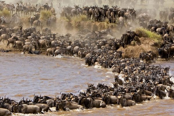 sierra-tours-and-safaris-7DAYS06NIGHT -TARANGIRE-NGORONGORO- SERENGETI Group tour-image03