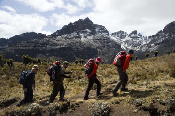 sierra-tours-and-safaris-mount-kenya-safaris- image01