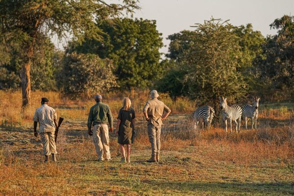 sierra tours and travel 9 NIGHTS – THE SECRET OF ZAMBIA SAFARI image 02