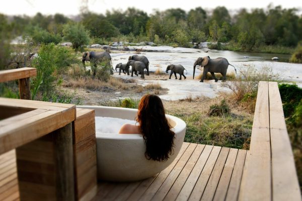 sierra tours and travel-luxury-safaris